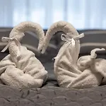Napsugar & Virag * Tiszafüred